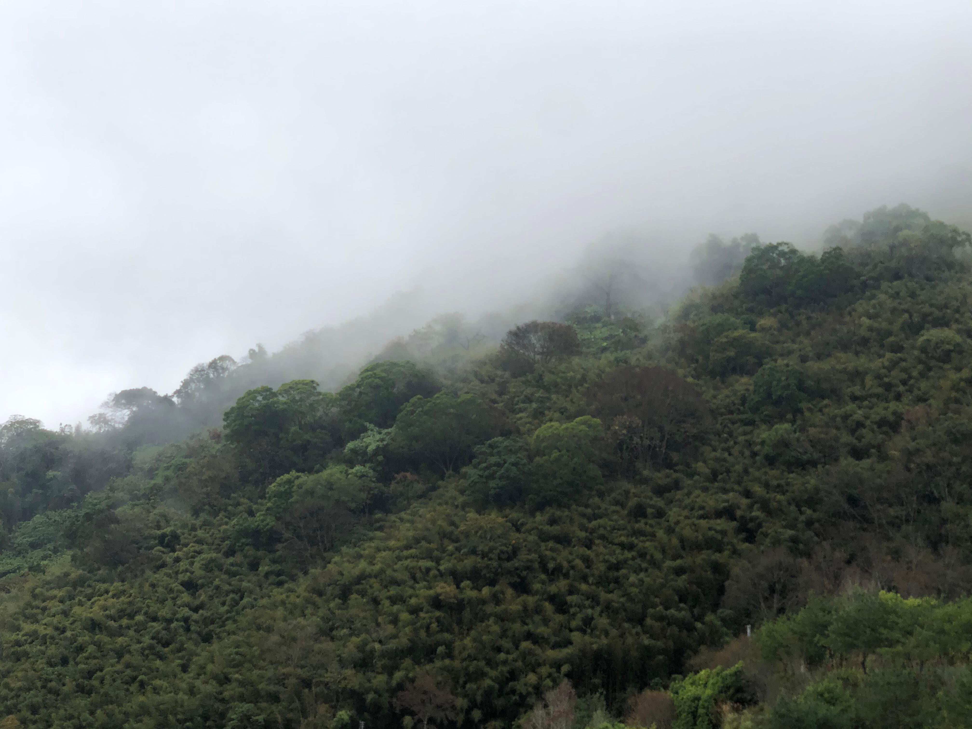View from my window.
