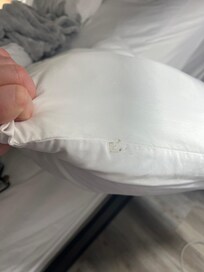 The bedding seemed clean but this was either a stain or clearly not clean