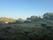 Hotel Room Garden View