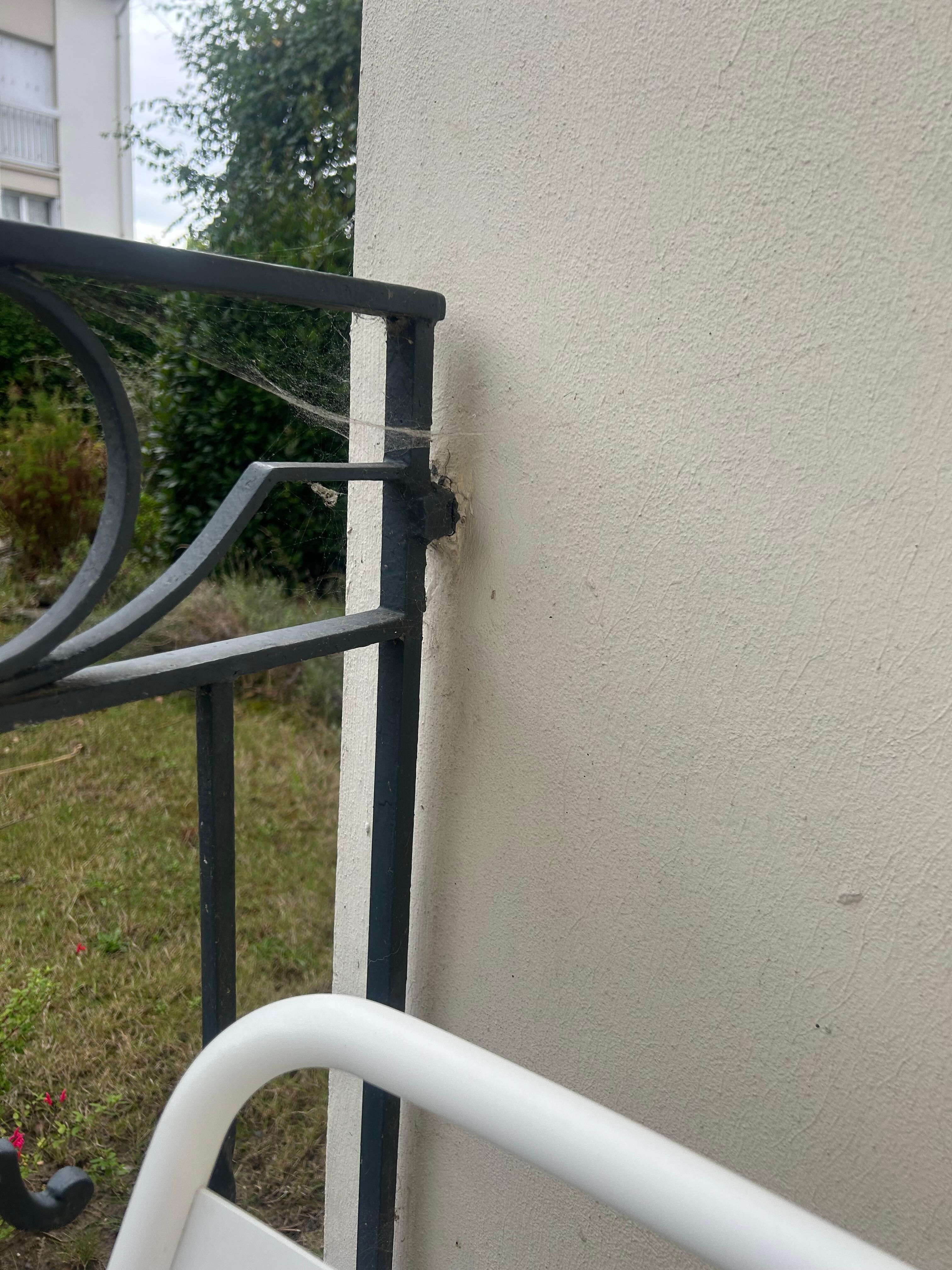 Toile d'araignée sur la tête 