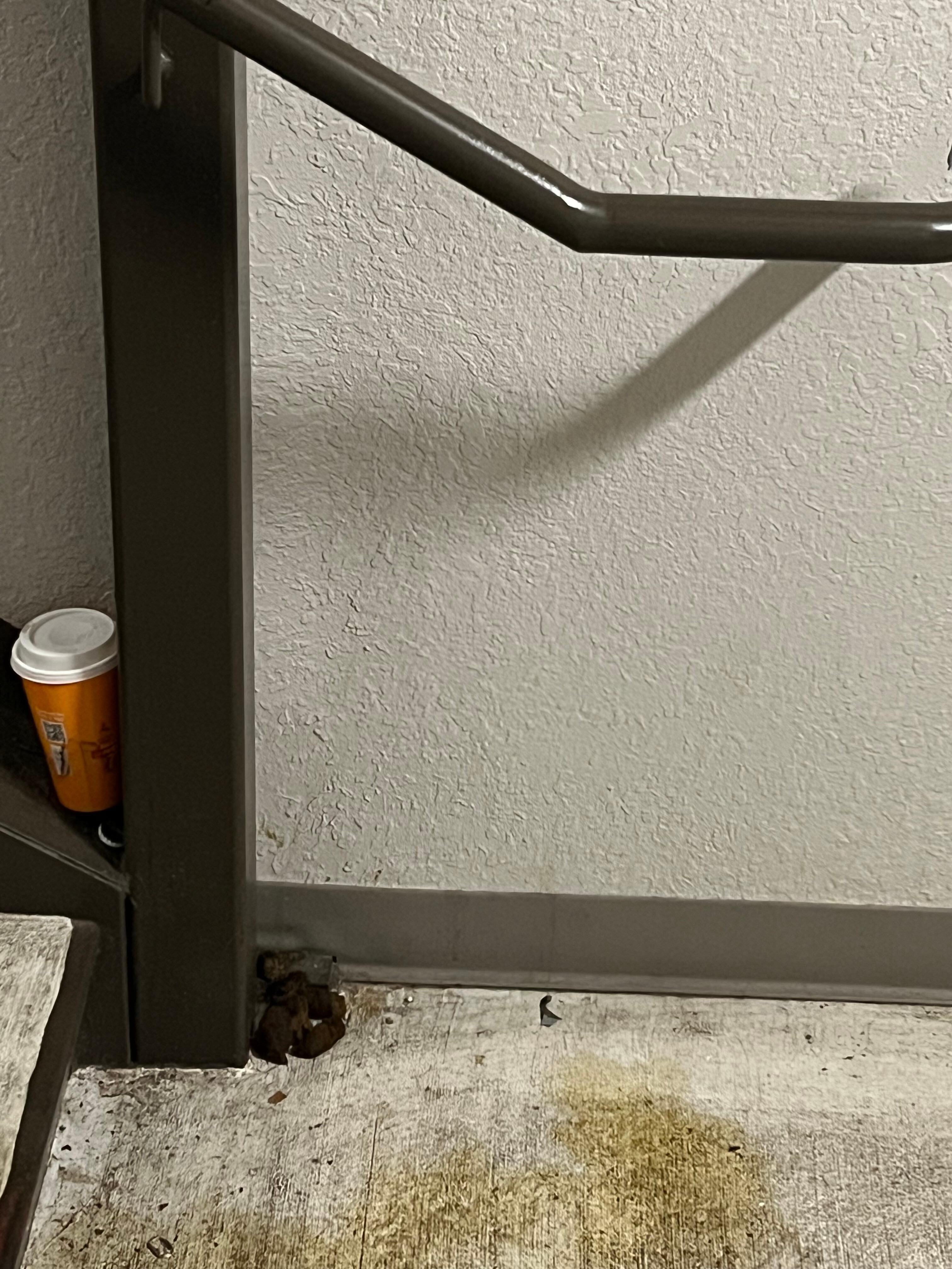 Feces in the stairwell near the 3rd floor landing 
