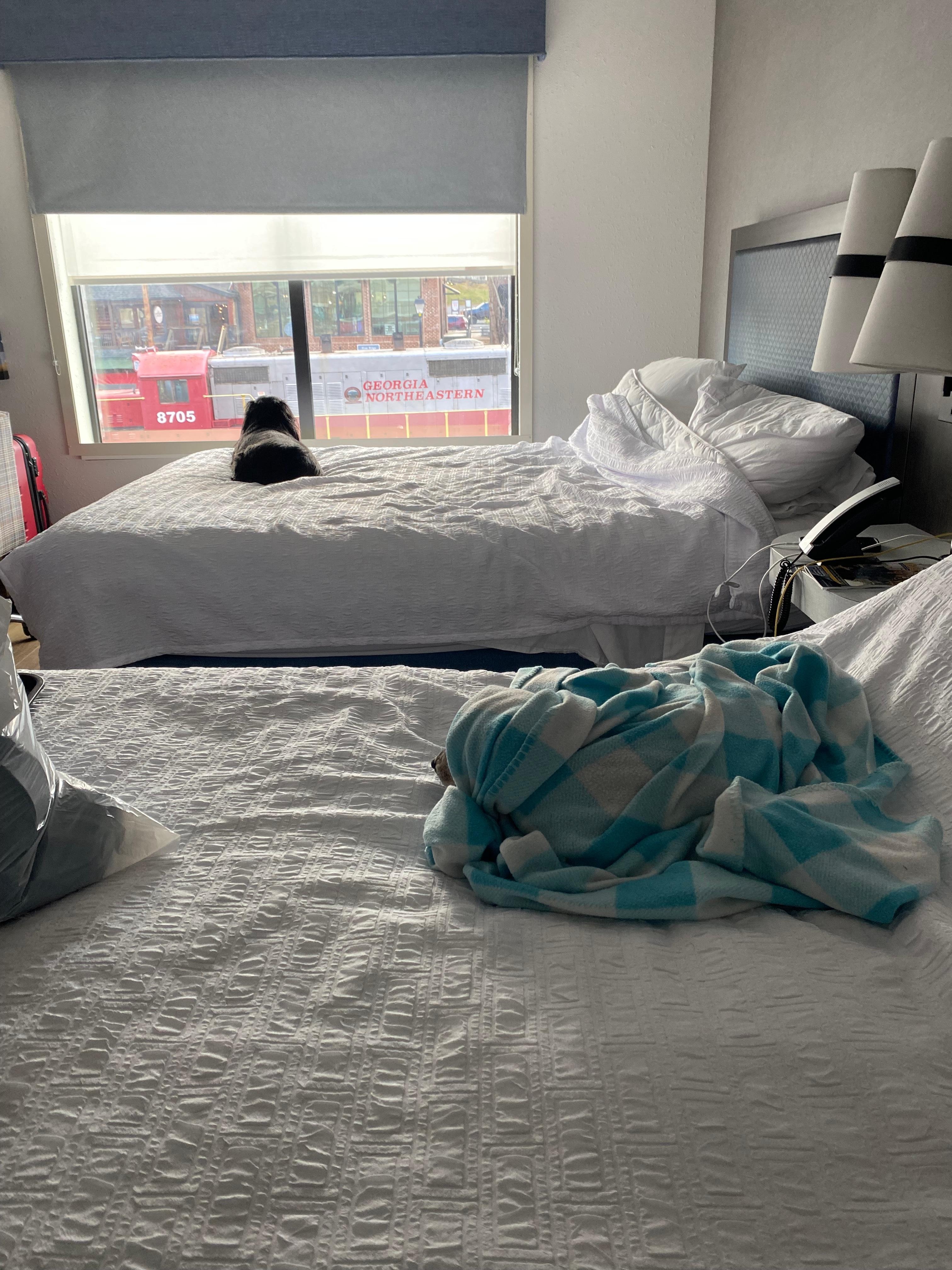 Gus people watching💙💙