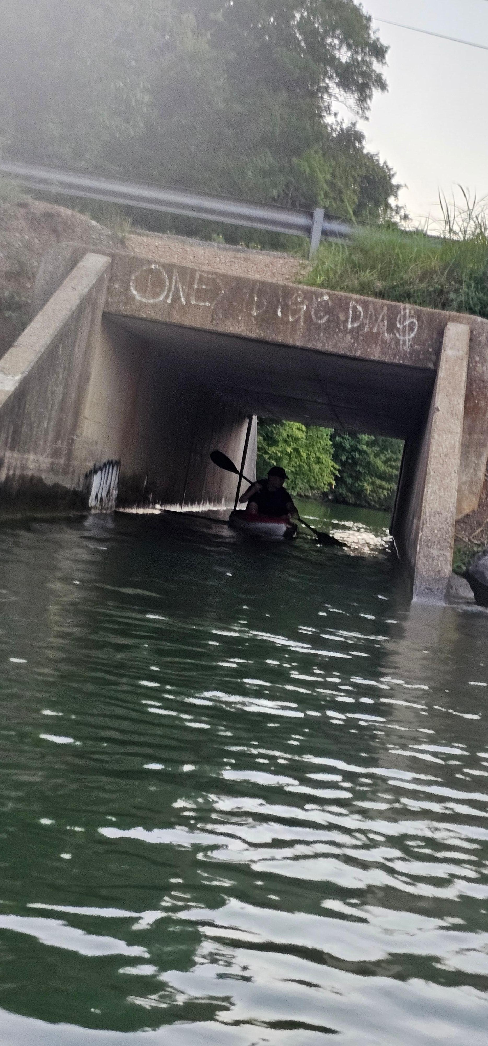 Bridge separating the cove from the main lake.