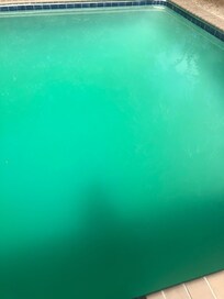 Green with slick algae on bottom