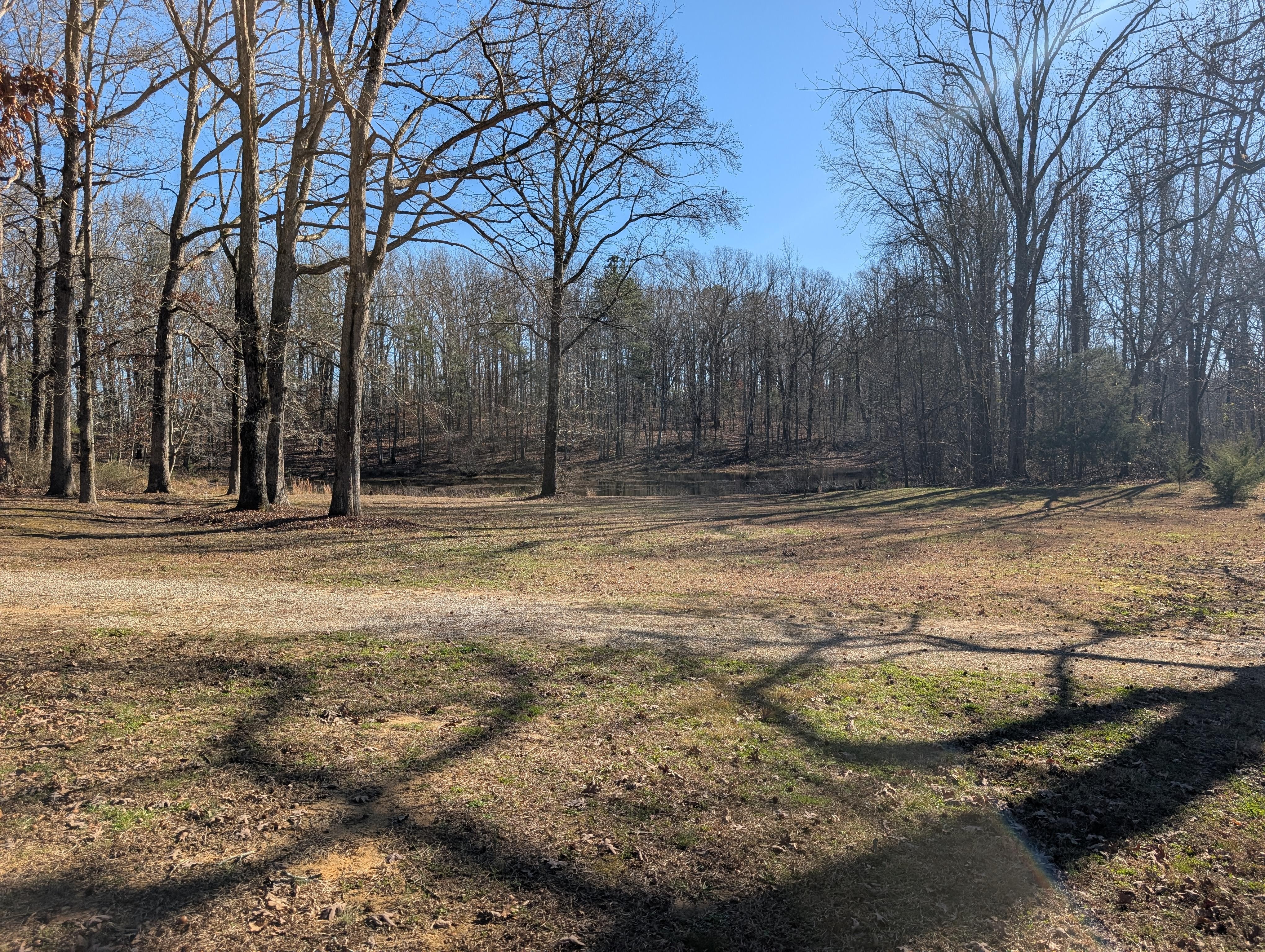 Small pond on property 