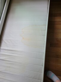 Trundle bed mattress