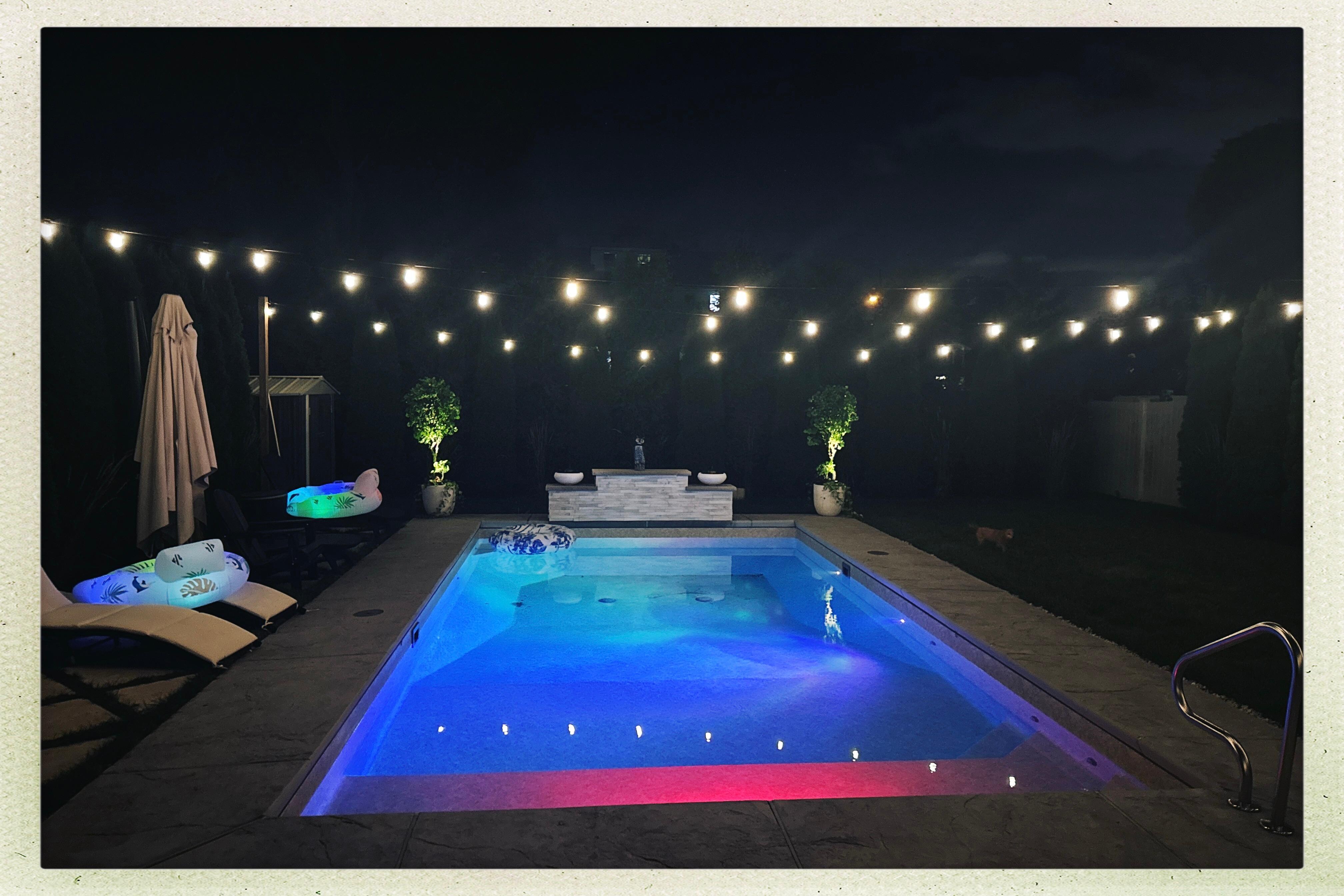 Loved the night swims 