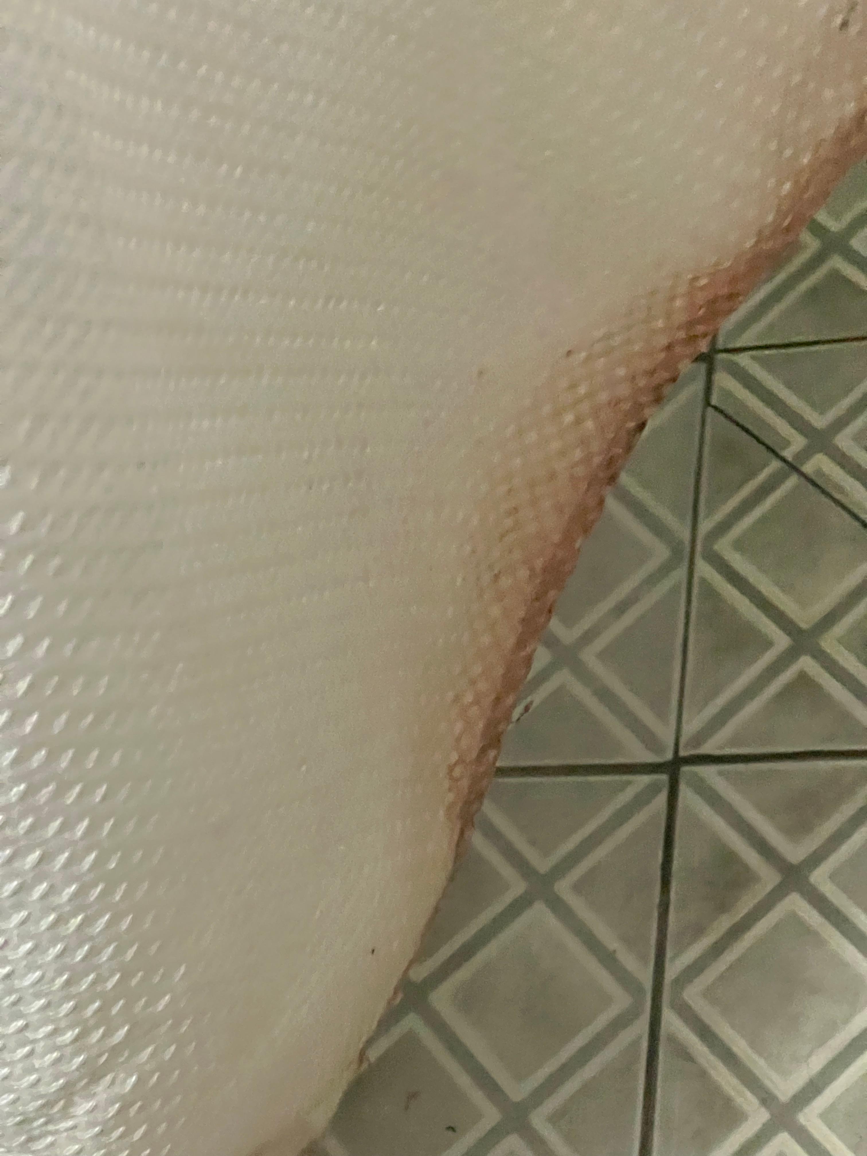 Dirty curtain shower 