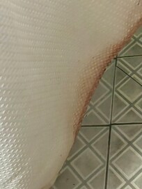 Dirty curtain shower