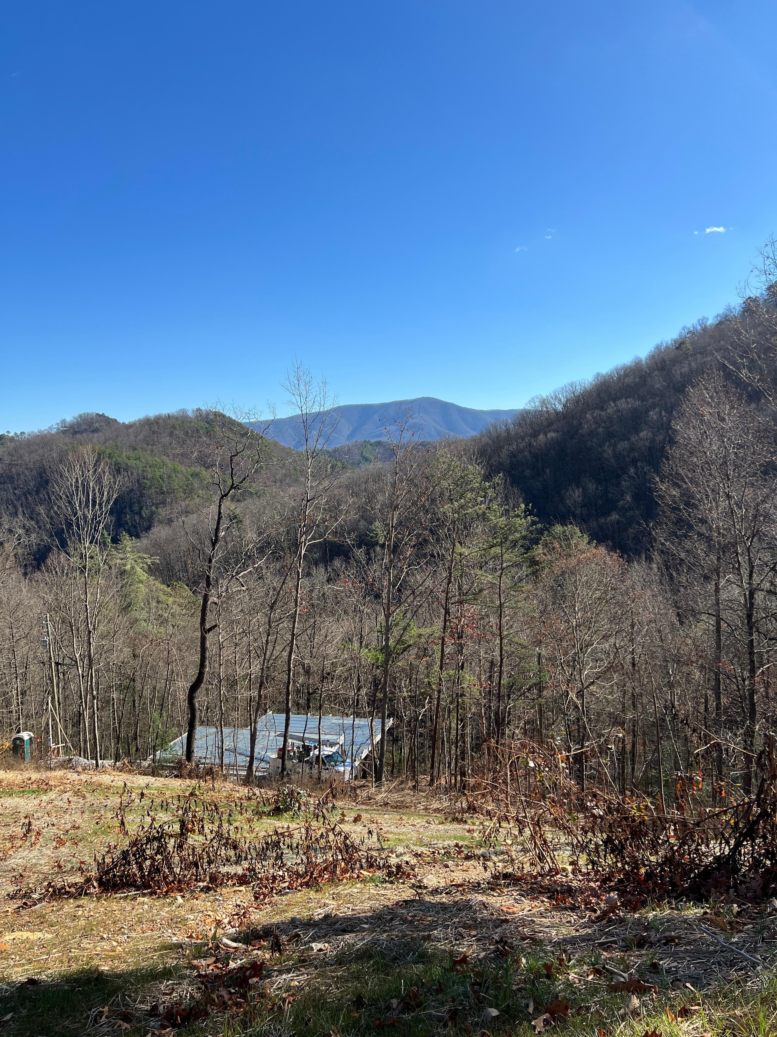 View from the back deck 