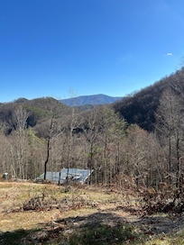 View from the back deck