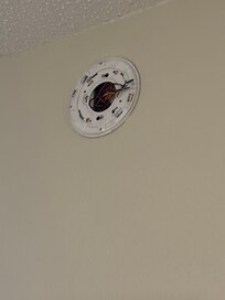 No smoke detector