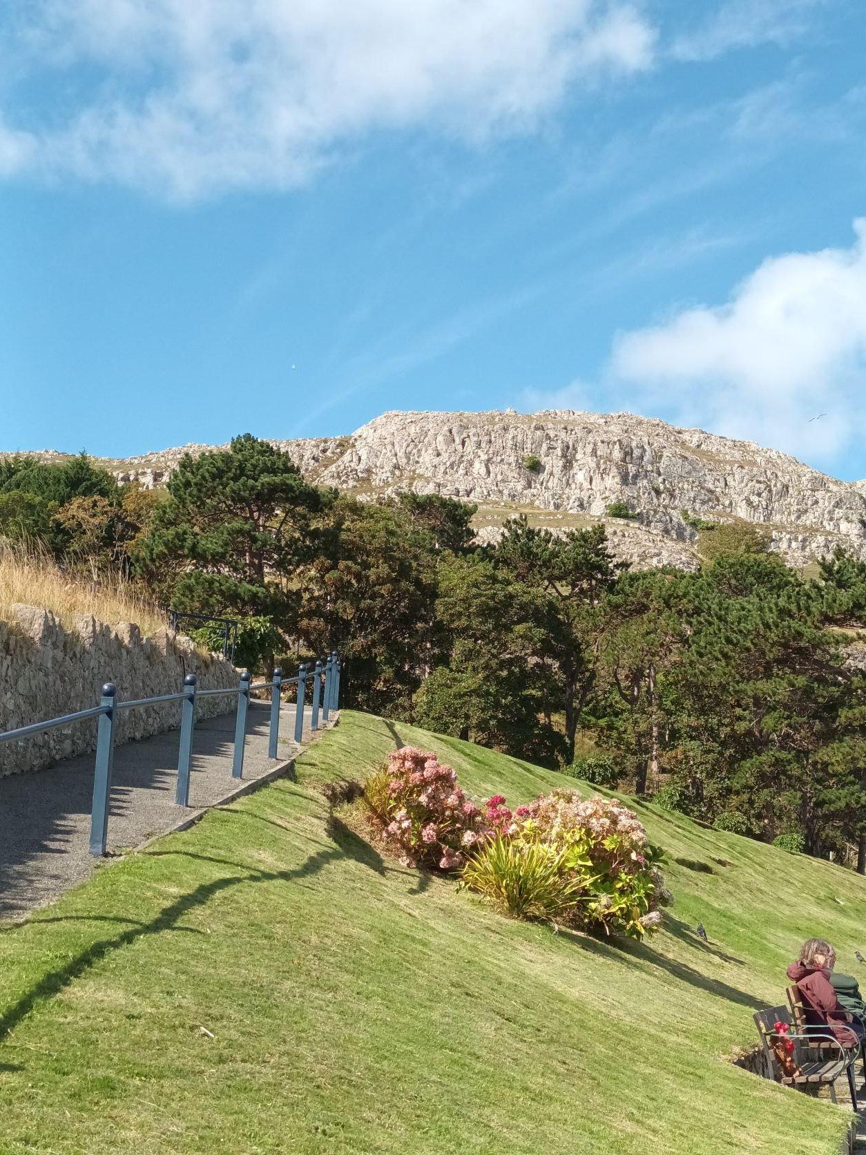 low garden in Llandudno