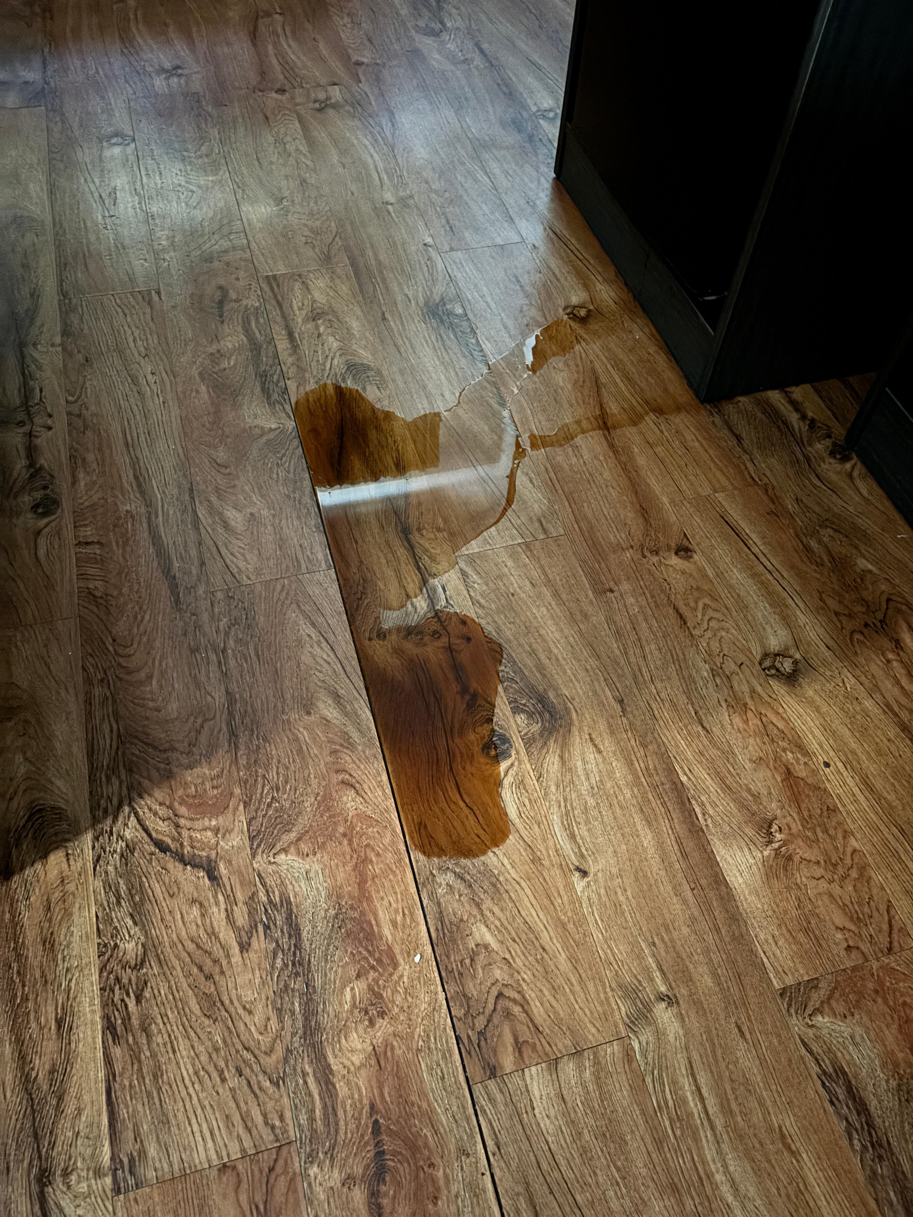 This puddle appeared in the morning from the fridge. It’s not water and we don’t leave bathing open, nothing inside the fridge. 