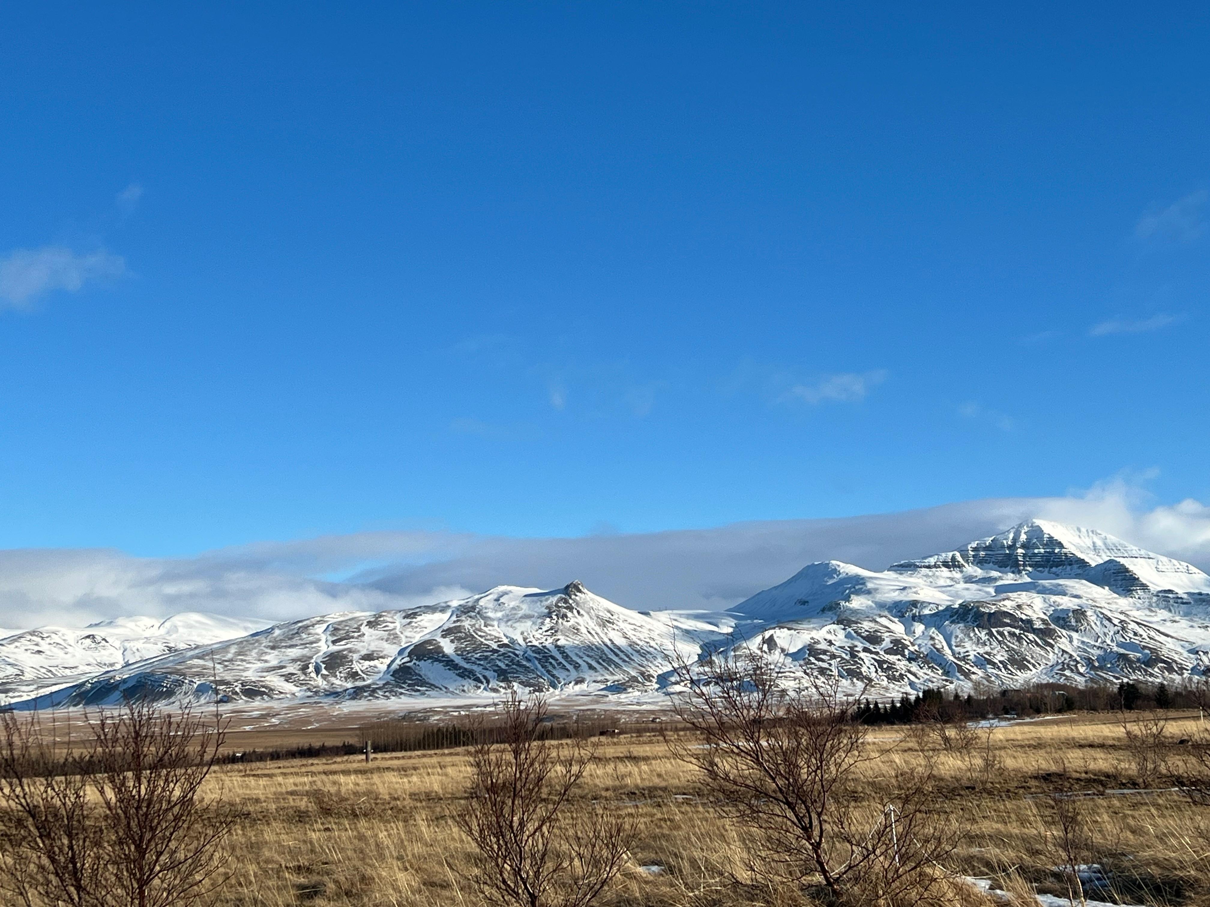 View from the driveway