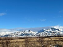 View from the driveway