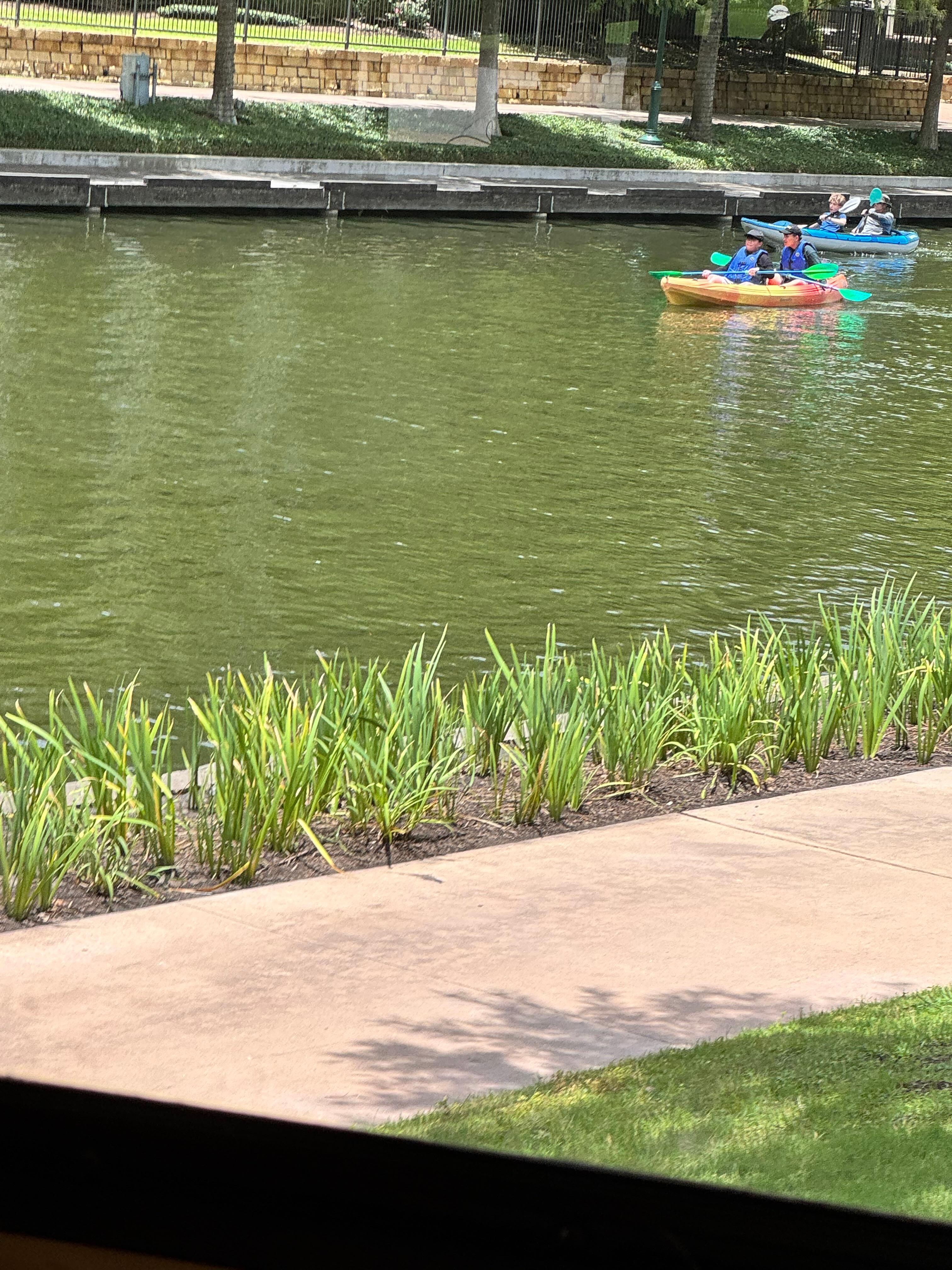 Paddle boarding along the waterway. 
