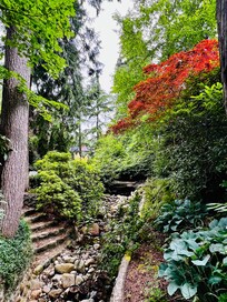 Front yard creek