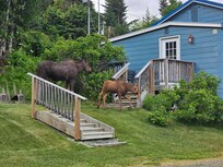 A perfectly good reason to wait in the car for a few minutes!