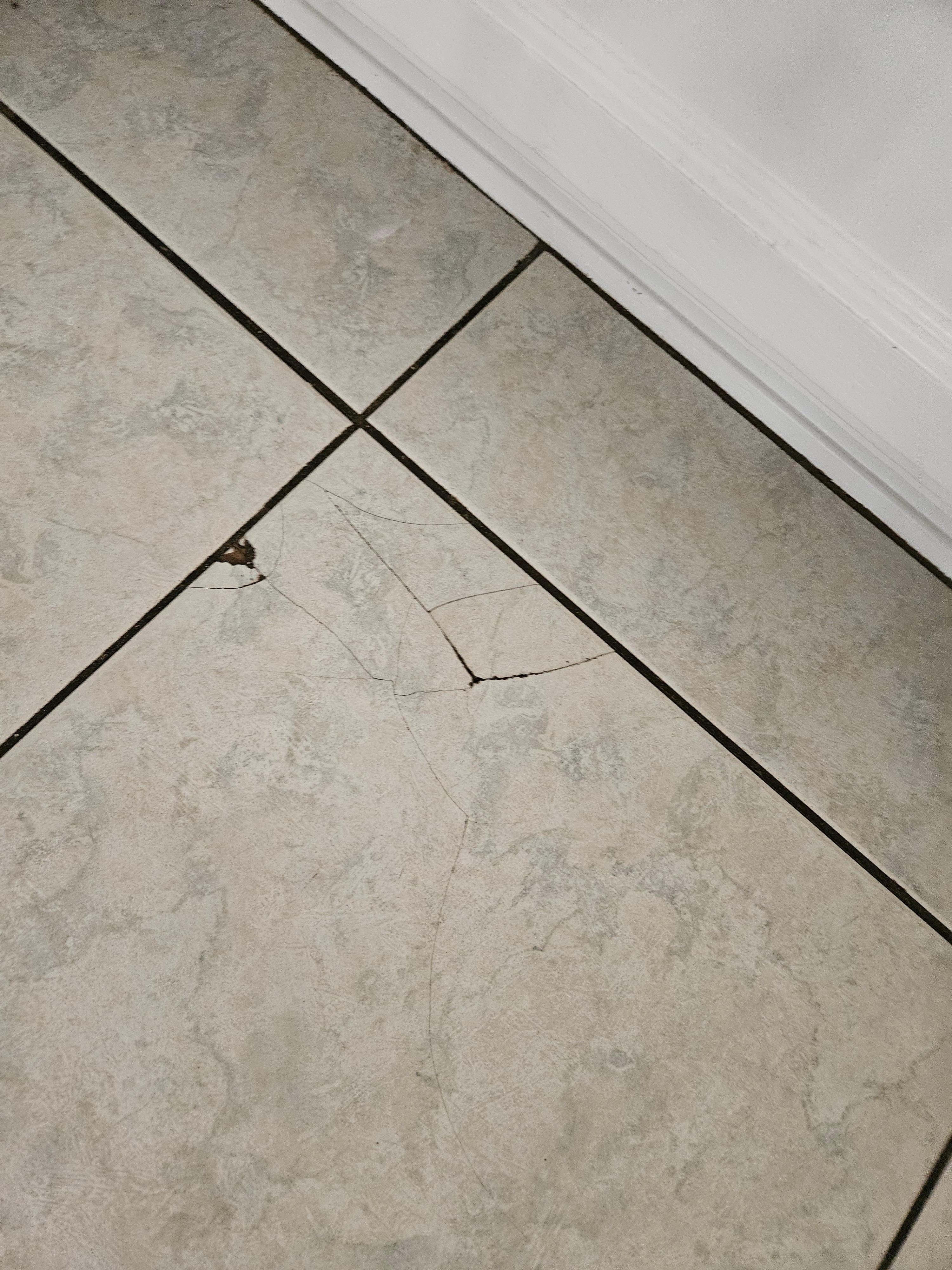 Floor kit. Tile.before us