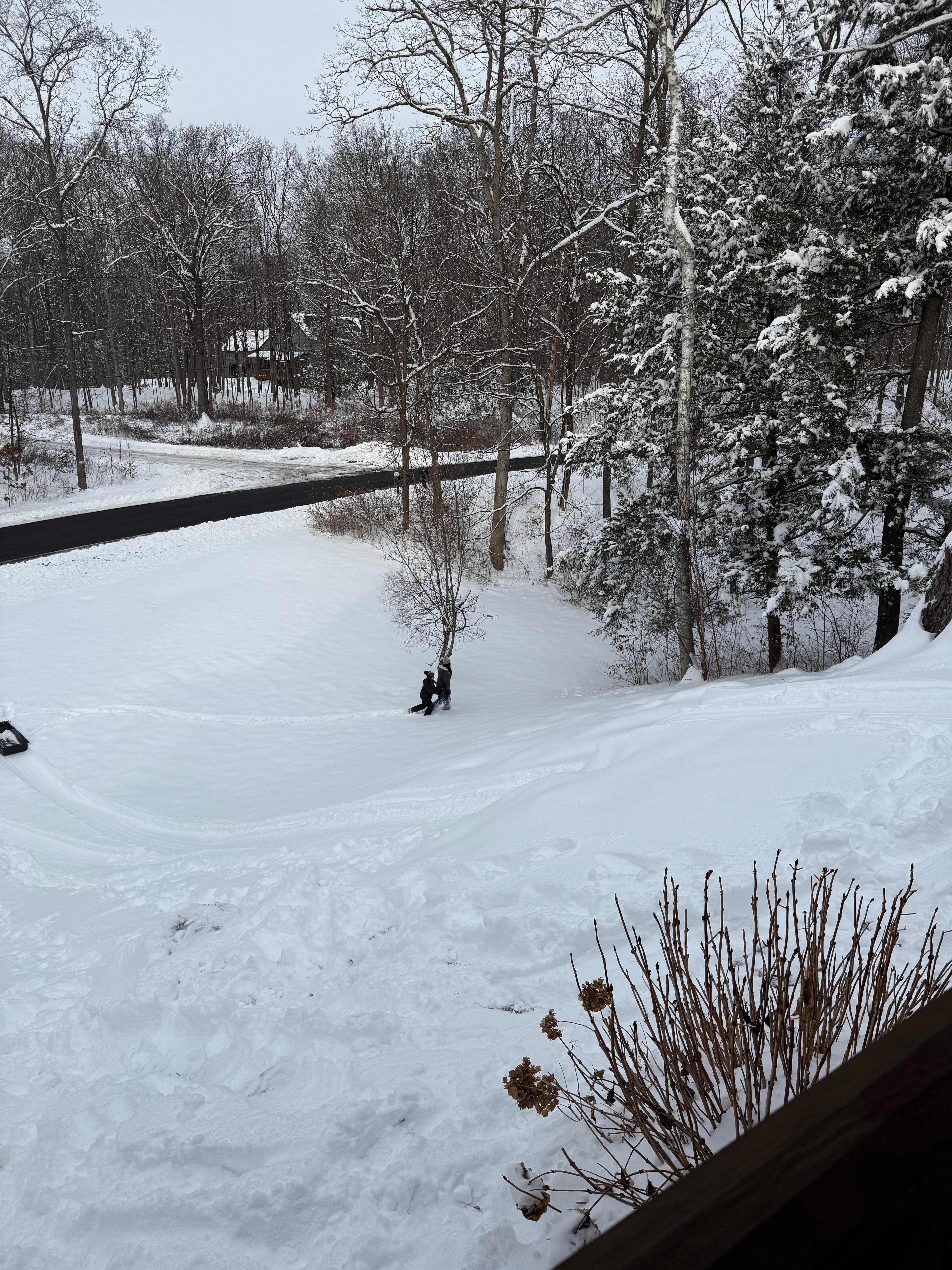 The perfect hill for sledding right off the patio in the back yard! 