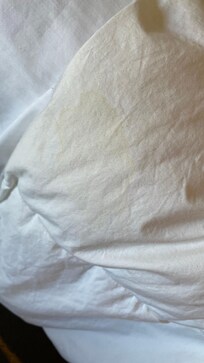 Stain comforter
