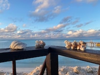 Vue depuis mon bungalow