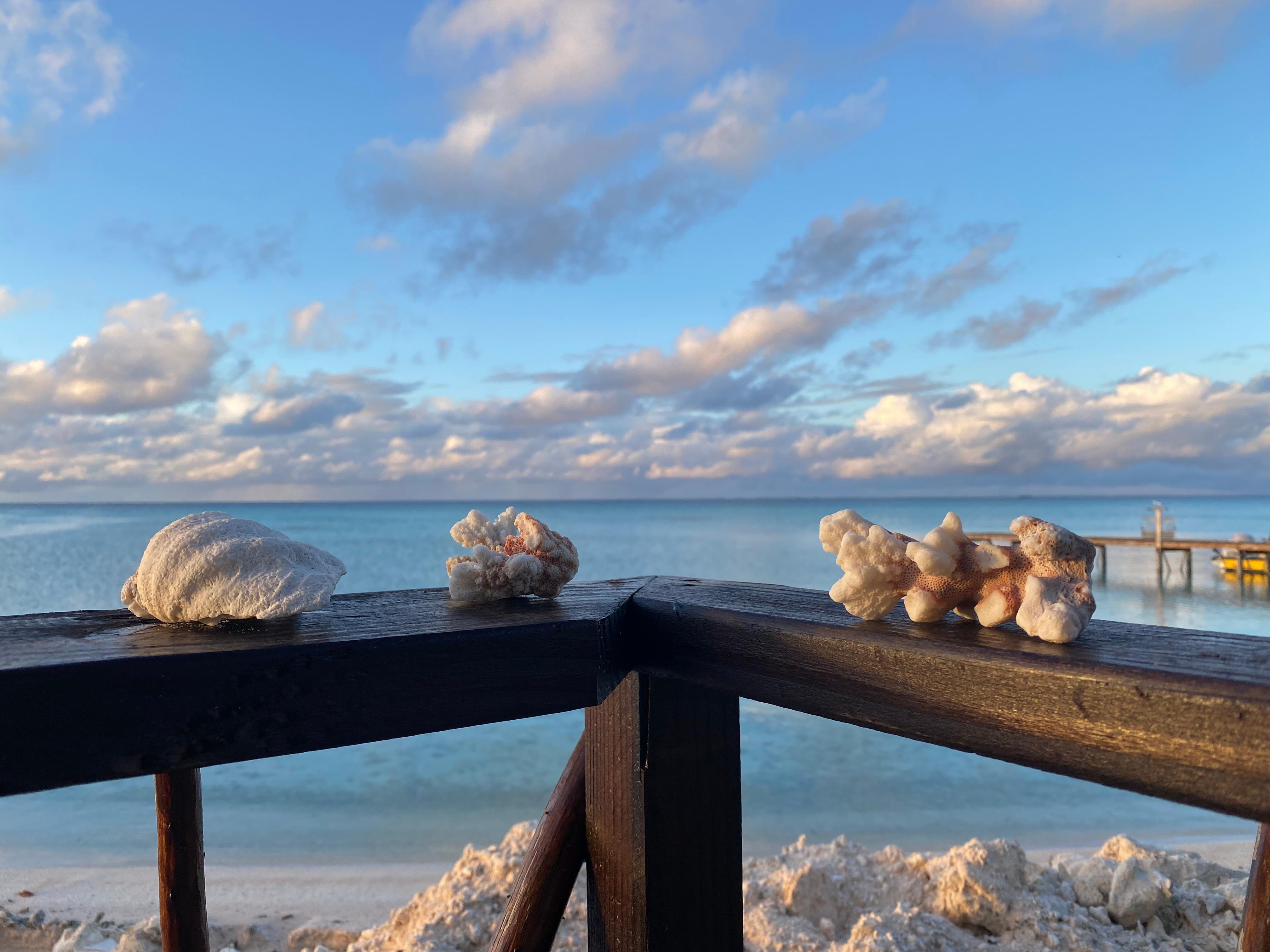 Vue depuis mon bungalow