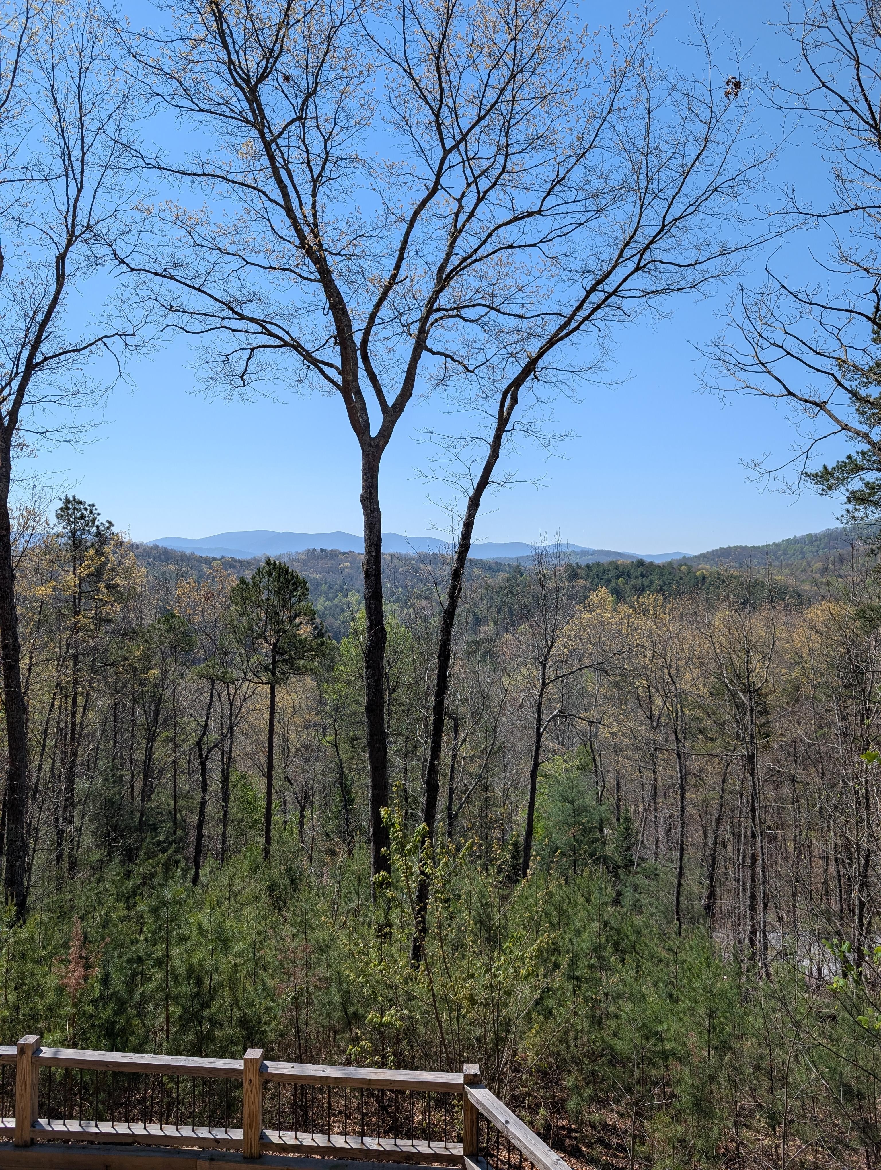 My morning view with coffee 