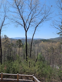 My morning view with coffee