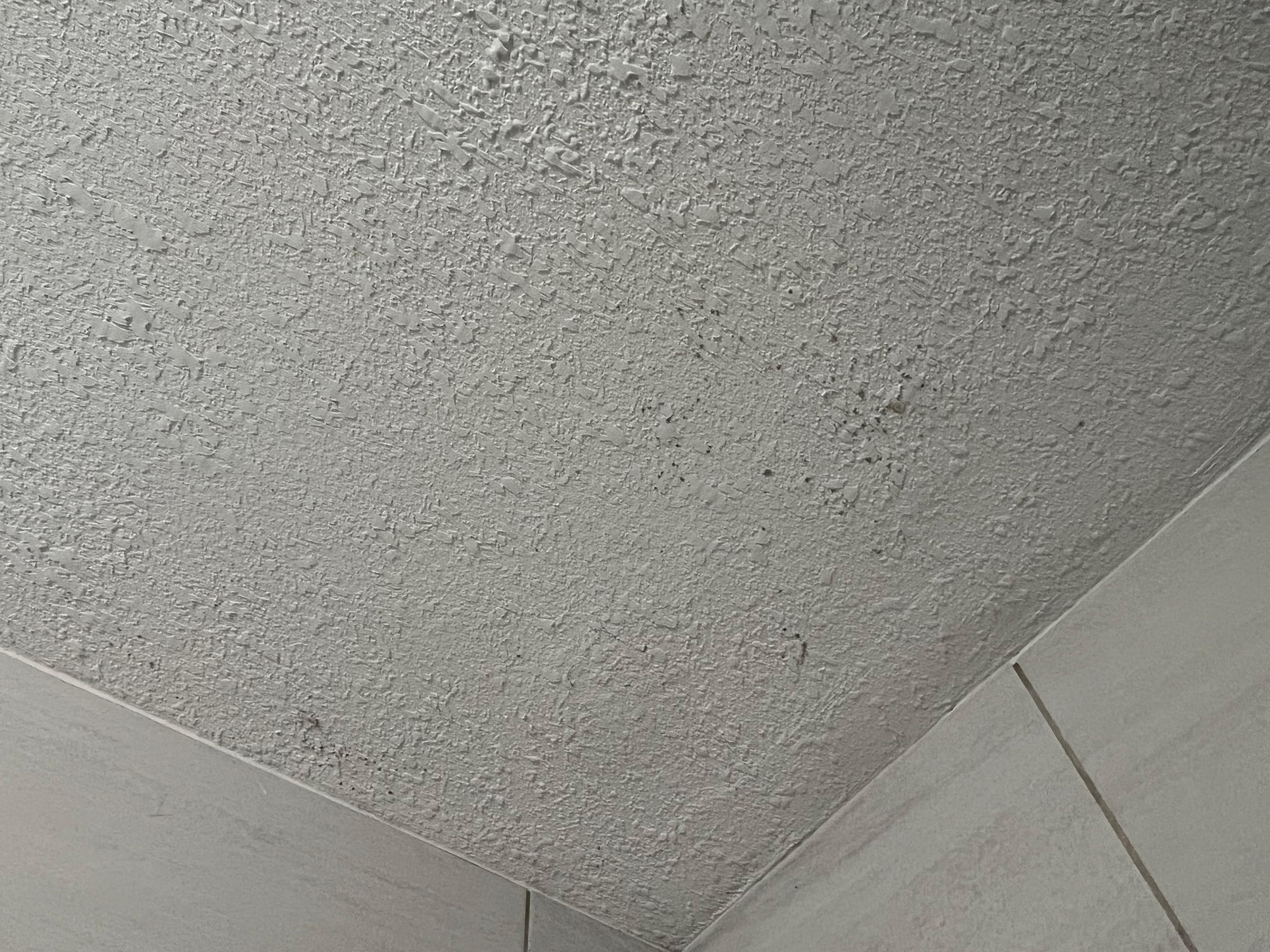 Painted over mold above shower 