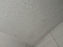 Painted over mold above shower