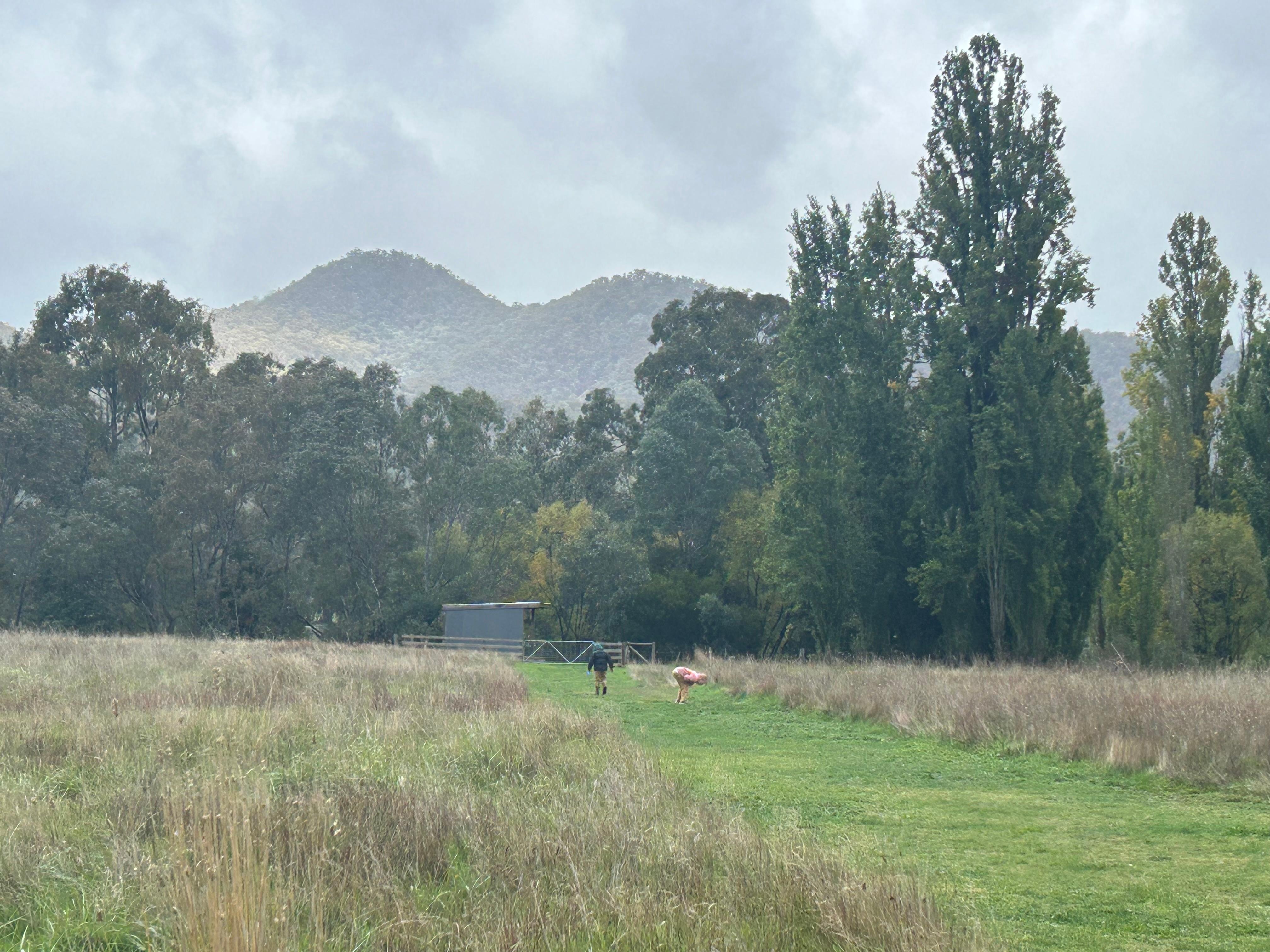 Lovely walk through the paddock to the river.