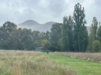 Lovely walk through the paddock to the river.