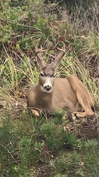 Right outside our window this morning when we opened the blinds! 