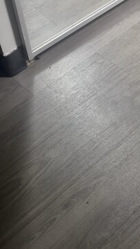 Cockroaches