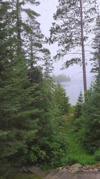 View from screened porch.