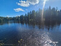 Blick über der See