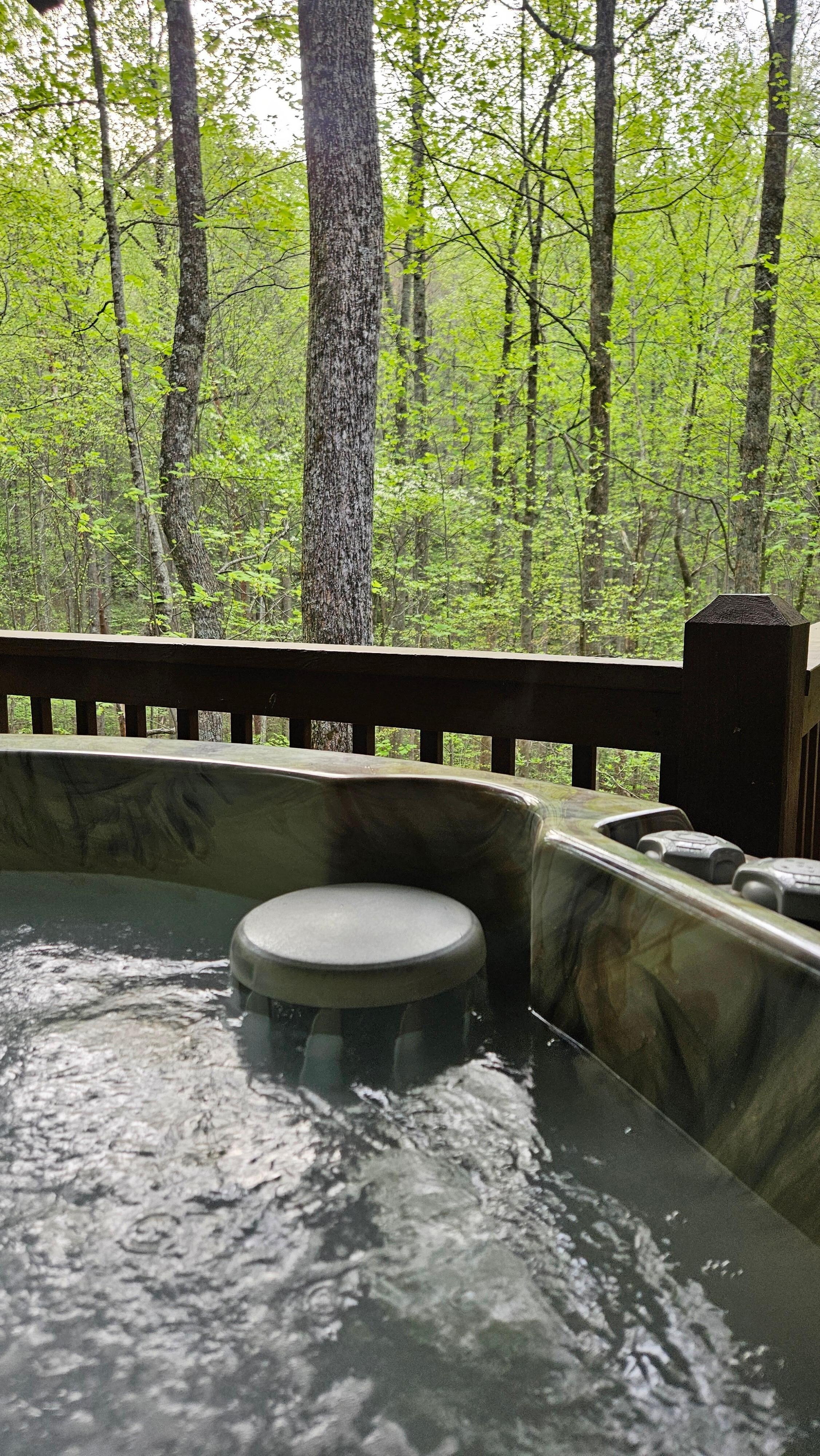 The view from the hot tub on Easter morning. Beautiful, peaceful, serene.
