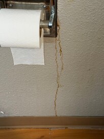 Blood stains on the wall