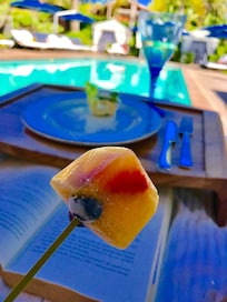 Fresh Fruit Ice Pops Delivered Poolside