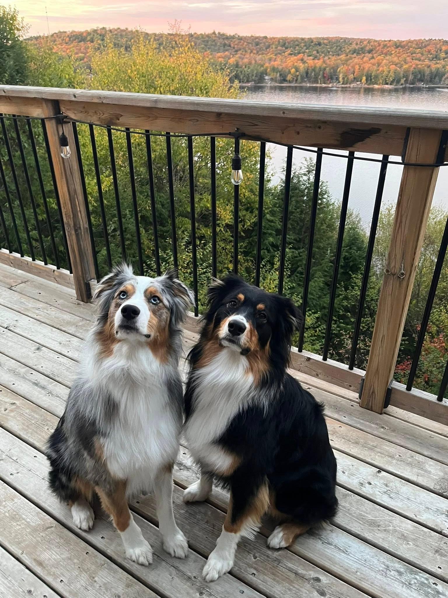 The whole family enjoyed spending time on the balconies, soaking up the gorgeous views.