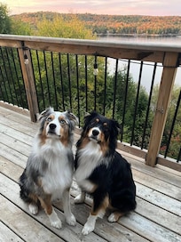 The whole family enjoyed spending time on the balconies, soaking up the gorgeous views.