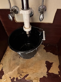 This was under the bathroom sink