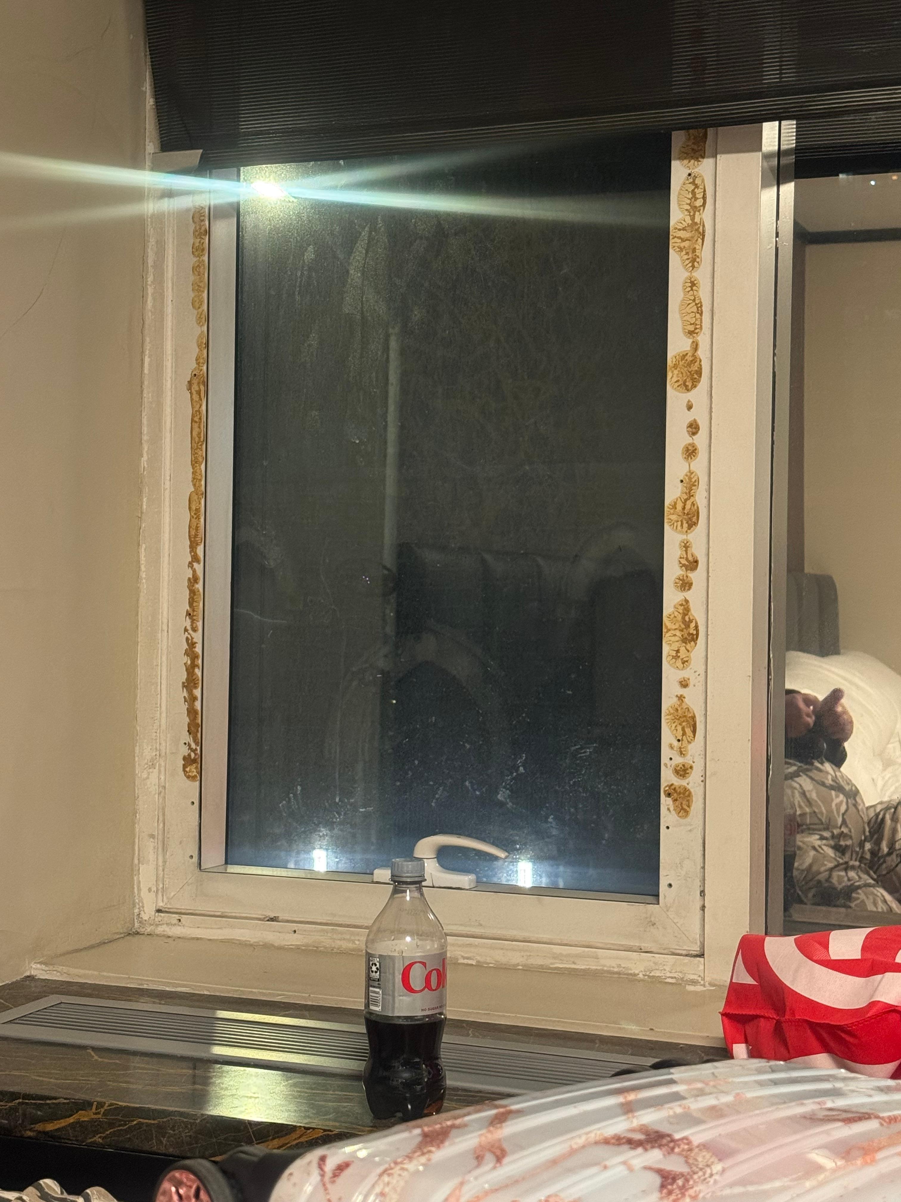 Mold or dirt around the window 