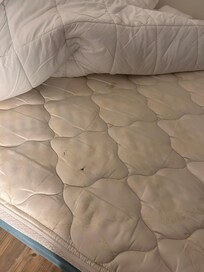 The bed was dirty and felt old