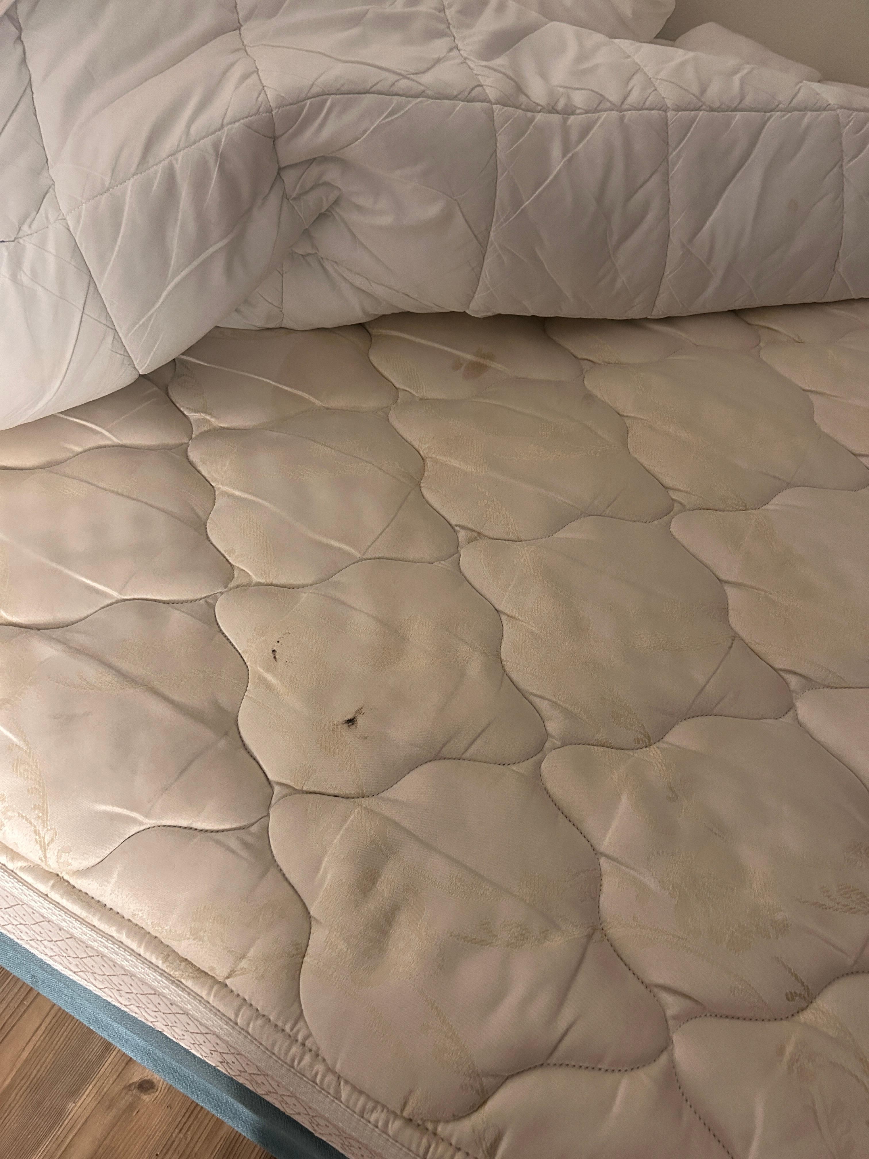 The bed was dirty and felt old