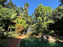 Pool - kitchen area