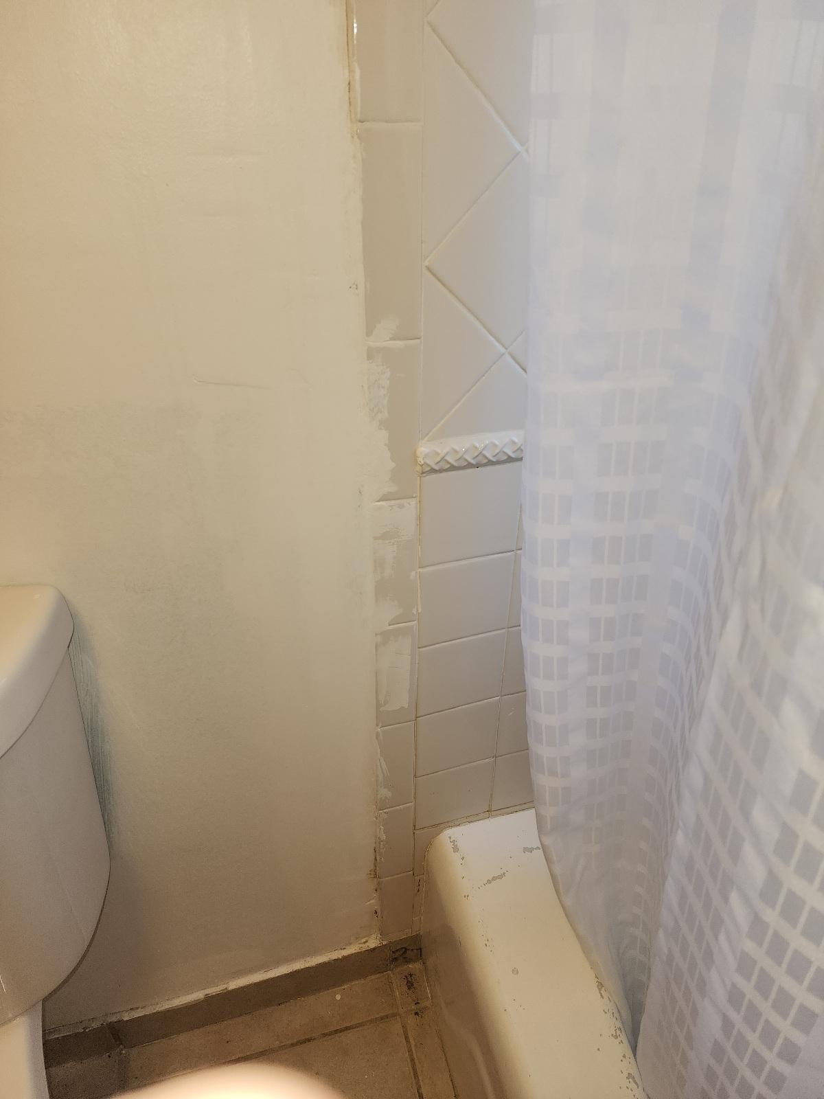 Paint all over wall/tile