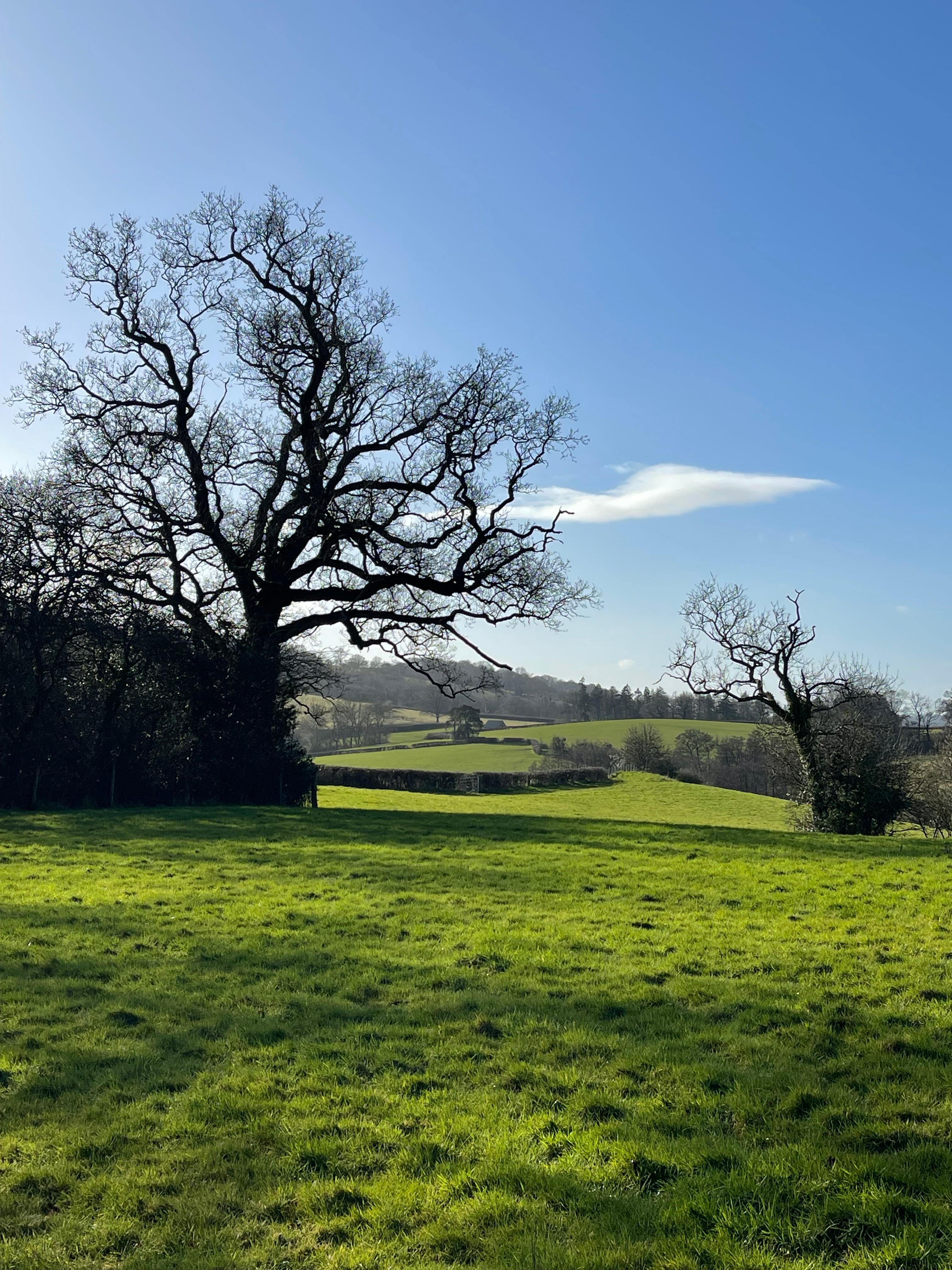 The view from the top of the bank